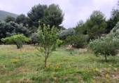 Вилла с участком на продажу в городе Ontinyent. Фото