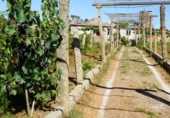 Casa señorial con terreno en venta en Boiro de Arriba ref: TR417789 foto