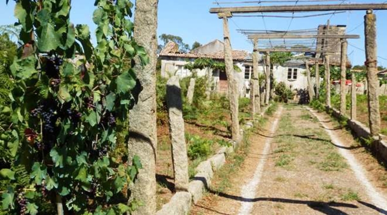 La Coruña - Boiro de Arriba - 18000m2