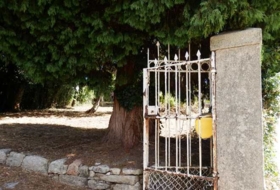 Foto 8