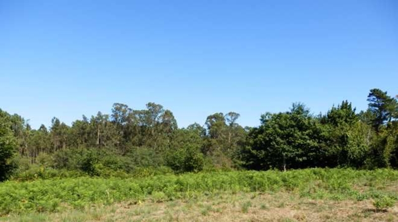 La Coruña - Boiro de Arriba - 18000m2