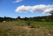 Casa señorial con terreno en venta en Boiro de Arriba ref: TR417789 foto