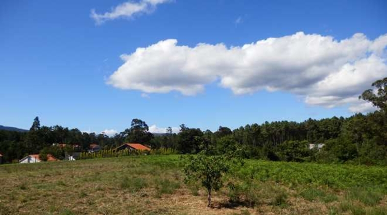 La Coruña - Boiro de Arriba - 18000m2