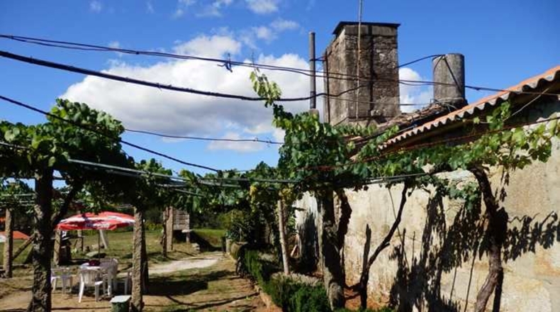 La Coruña - Boiro de Arriba - 18000m2