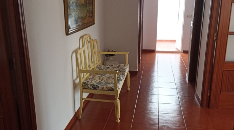 Badajoz - Badajoz - 304m2