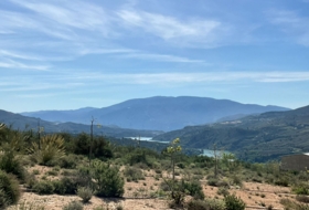 Pinos del Valle 30000&nbsp;м²