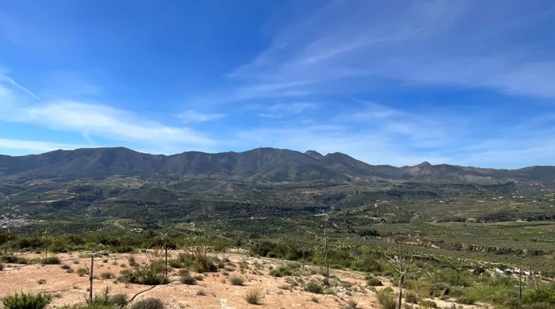 Гранада - Pinos del Valle - 30000m2