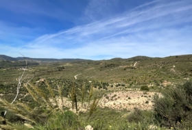 Pinos del Valle 30000&nbsp;м²