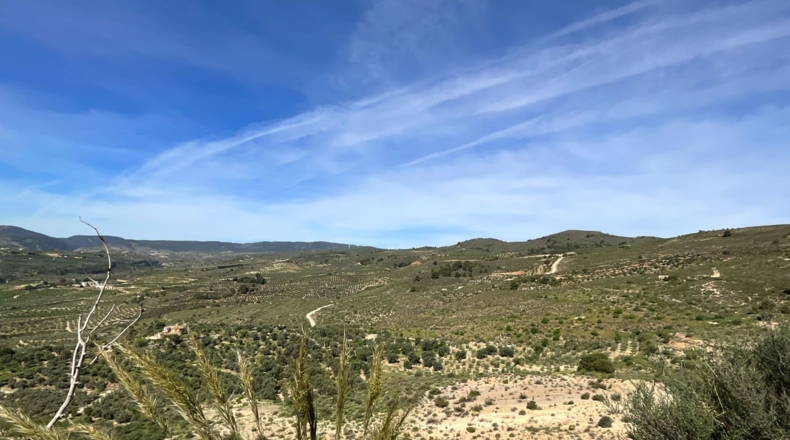 Гранада - Pinos del Valle - 30000m2