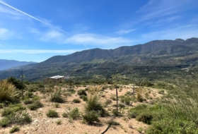 Pinos del Valle 30000&nbsp;м²