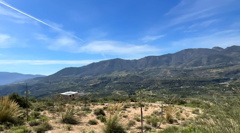 Гранада - Pinos del Valle - 30000m2