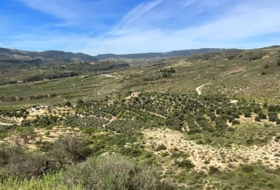 Pinos del Valle 30000&nbsp;м²