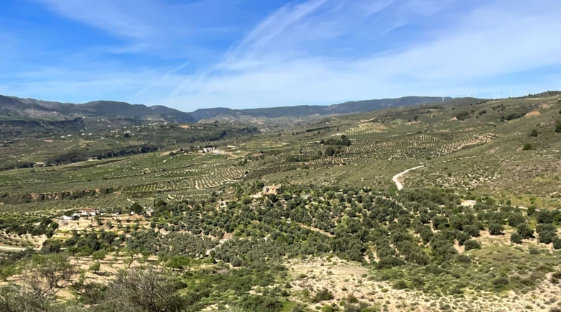 Гранада - Pinos del Valle - 30000m2