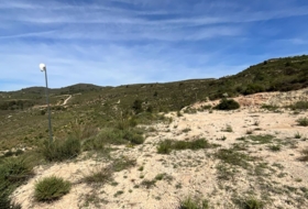 Pinos del Valle 30000&nbsp;м²