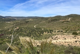 Pinos del Valle 30000&nbsp;м²