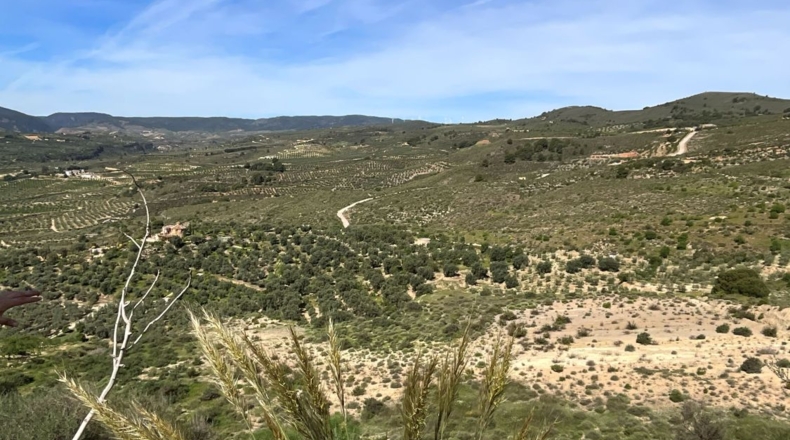 Гранада - Pinos del Valle - 30000m2