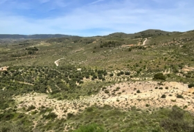 Pinos del Valle 30000&nbsp;м²
