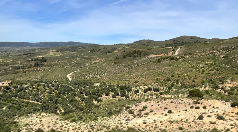 Гранада - Pinos del Valle - 30000m2