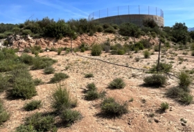 Pinos del Valle 30000&nbsp;м²