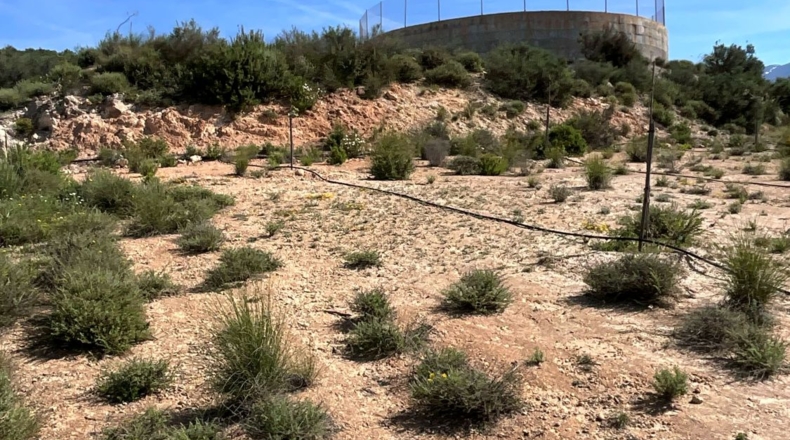 Гранада - Pinos del Valle - 30000m2
