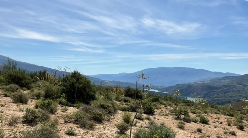 Гранада - Pinos del Valle - 30000m2