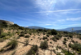 Pinos del Valle 30000&nbsp;м²