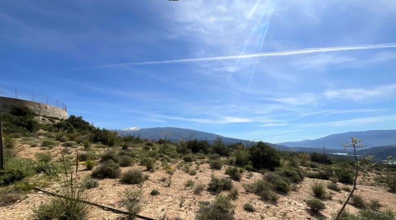 Гранада - Pinos del Valle - 30000m2