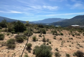 Pinos del Valle 30000&nbsp;м²