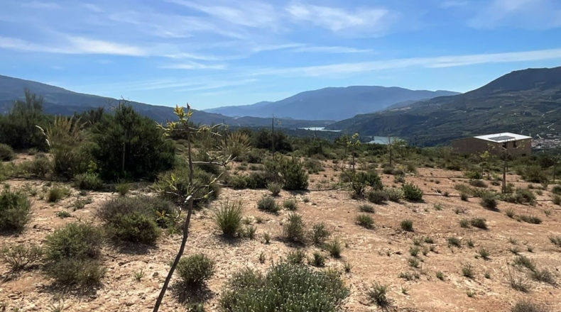 Гранада - Pinos del Valle - 30000m2