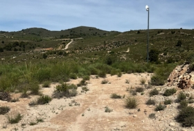 Pinos del Valle 30000&nbsp;м²