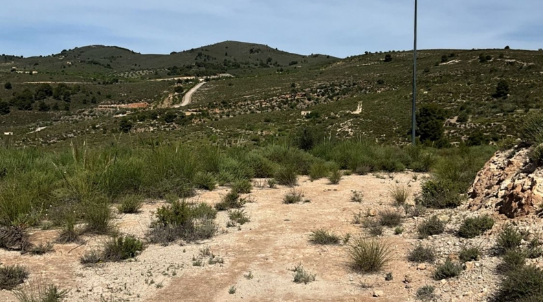 Гранада - Pinos del Valle - 30000m2