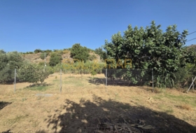 Pizarra 2500&nbsp;m²