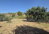 Finca rústica en venta en Pizarra ref: TR417459 foto