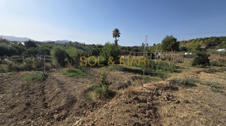 Малага - Pizarra - 2500m2