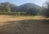 Finca rústica en venta en Pizarra ref: TR417459 foto