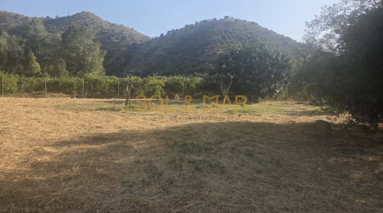 Малага - Pizarra - 2500m2