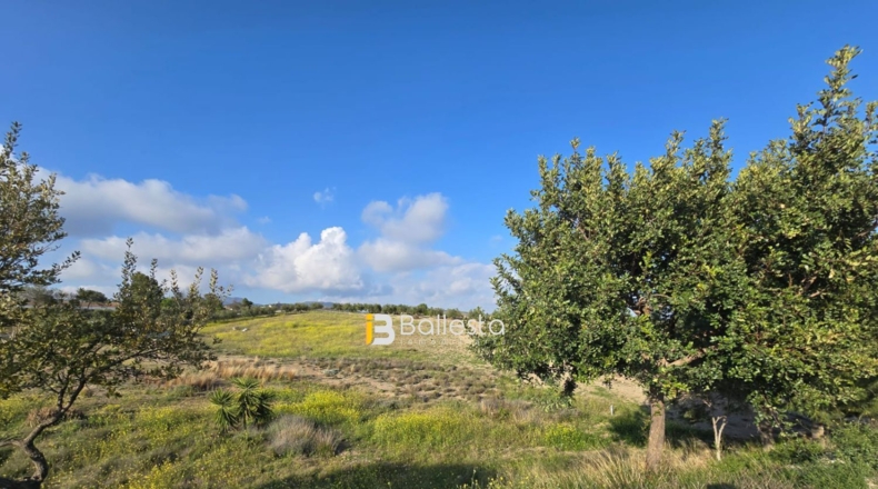 Almería - Huércal-Overa - 172m2