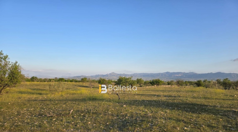 Almería - Huércal-Overa - 172m2