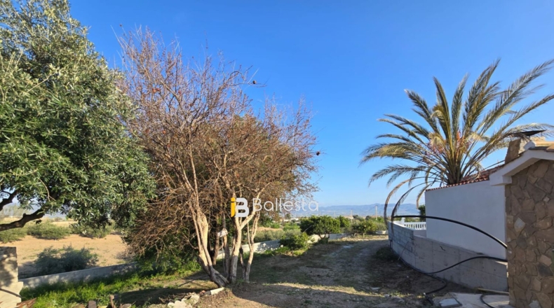 Almería - Huércal-Overa - 172m2