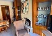 Chalet independiente con terreno en venta en Pineda de Mar ref: TR380112 foto