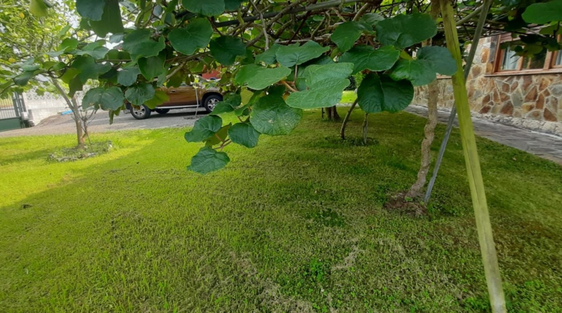 Cantabria - Argoños - 650m2