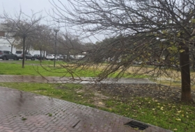 Jerez de la Frontera 500&nbsp;m²