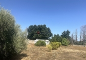 Urban land for sale in Algímia d'Alfara ref: TR417817 photo