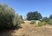 Urban land for sale in Algímia d'Alfara ref: TR417817 photo