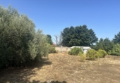 Urban land for sale in Algímia d'Alfara ref: TR417817 photo
