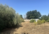 Urban land for sale in Algímia d'Alfara ref: TR417817 photo