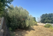 Urban land for sale in Algímia d'Alfara ref: TR417817 photo