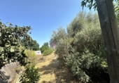Urban land for sale in Algímia d'Alfara ref: TR417817 photo