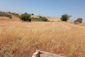 Arcos de la Frontera 3000&nbsp;м²