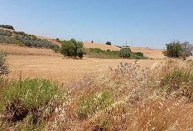 Arcos de la Frontera 3000&nbsp;м²
